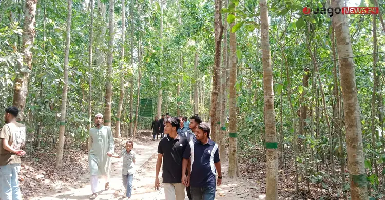 সংকটে লাউয়াছড়া জাতীয় উদ্যান, নিষ্ক্রিয় বন বিভাগ