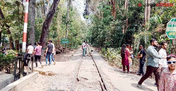 সংকটে লাউয়াছড়া জাতীয় উদ্যান, নিষ্ক্রিয় বন বিভাগ