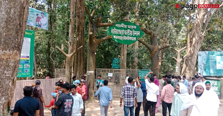 সংকটে লাউয়াছড়া জাতীয় উদ্যান, নিষ্ক্রিয় বন বিভাগ