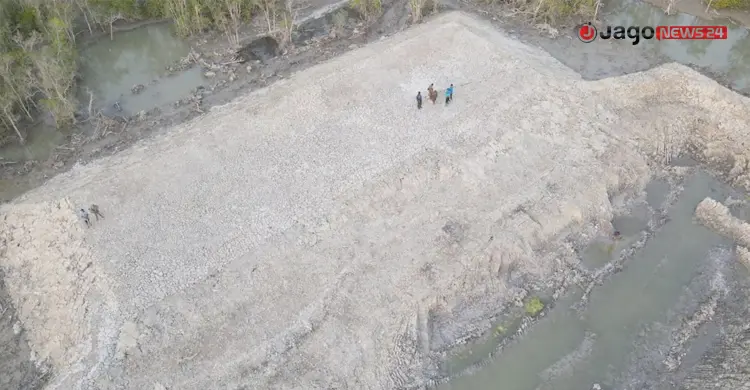 বাঘ বাঁচাতে সুন্দরবনে বিশেষ টিলা