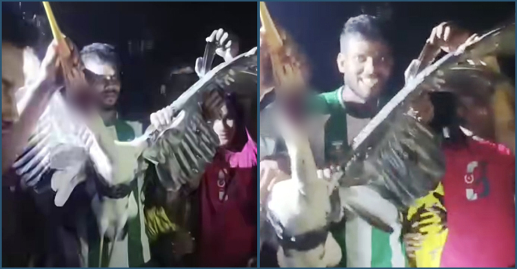 পরিযায়ী পাখি হত্যা, ছবি-ভিডিও পোস্ট করে বিপাকে যুবলীগ নেতা