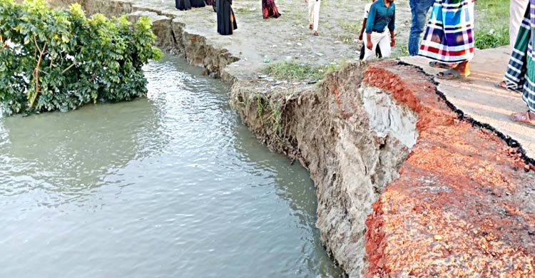 ফরিদপুরে ভাঙন বেড়েছে পদ্মায়, আতঙ্কে ভিটে ছাড়ছে মানুষ