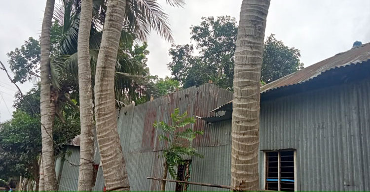 ফরিদপুরে হঠাৎ ঝড়, বাড়িঘর বিধ্বস্ত