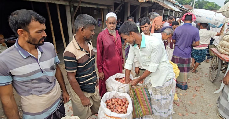 পেঁয়াজের দামে পুঁজিও টিকছে না চাষিদের