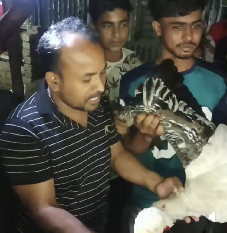 পরিযায়ী পাখি হত্যা, ছবি-ভিডিও পোস্ট করে বিপাকে যুবলীগ নেতা