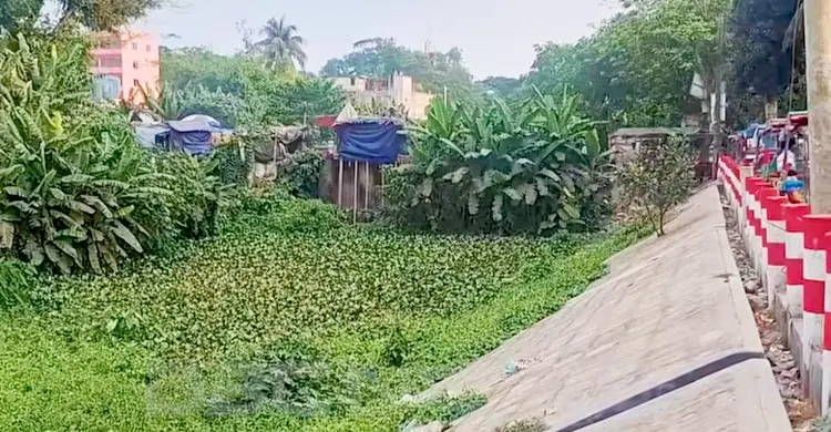 বাজারে ঘুরছে অর্ধশত গুইসাপ, হয়েছে মানুষের সঙ্গে বন্ধুত্ব