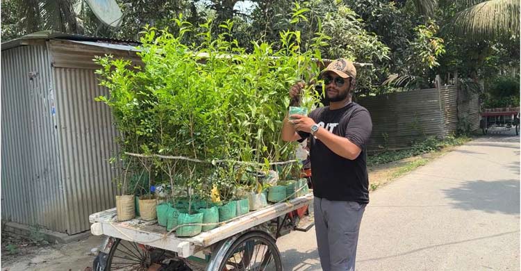 কবরের ফুলগাছ চুরি, প্রতিশোধ না নিয়ে গ্রামজুড়ে দেড় হাজার গাছ রোপণ