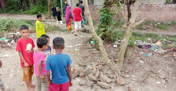 ভৈরবে শিয়ালের কামড়ে আহত ১৪ জন