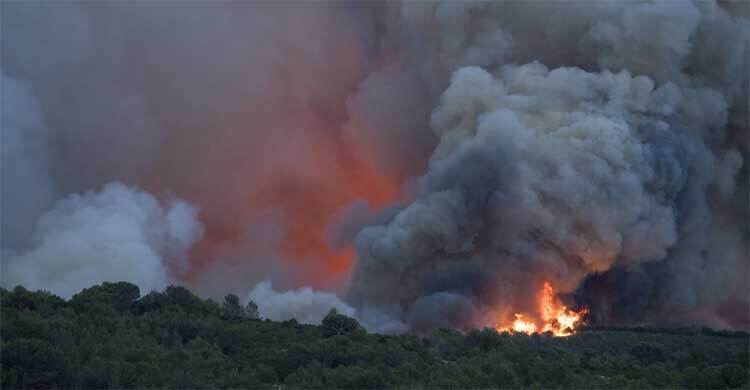ফ্রান্সে ভয়াবহ দাবানল, ১১ হাজার হেক্টর এলাকার গাছপালা পুড়ে ছাই