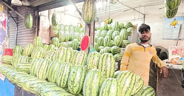 শেষ সময়ে খুলনার ছোট তরমুজ স্বাদে এগিয়ে, দাম চড়া
