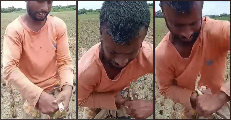 ফরিদপুরে নির্মমভাবে ব্যাঙ হত্যার ভিডিও ভাইরাল