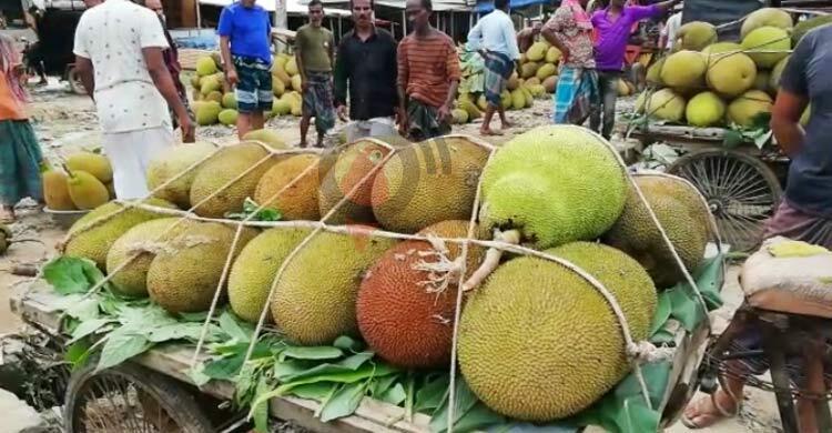 Jackfruit crisis in Bhaluka: A bountiful harvest left to rot