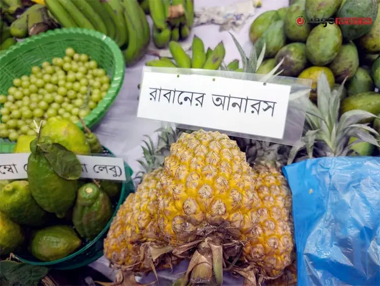 রাজধানীতে ৩ দিনব্যাপী ফল মেলা