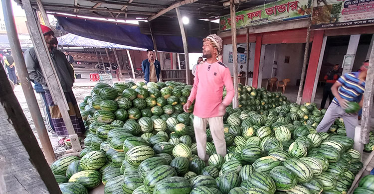 দাম চড়া, ফল কিনতে হিমশিম