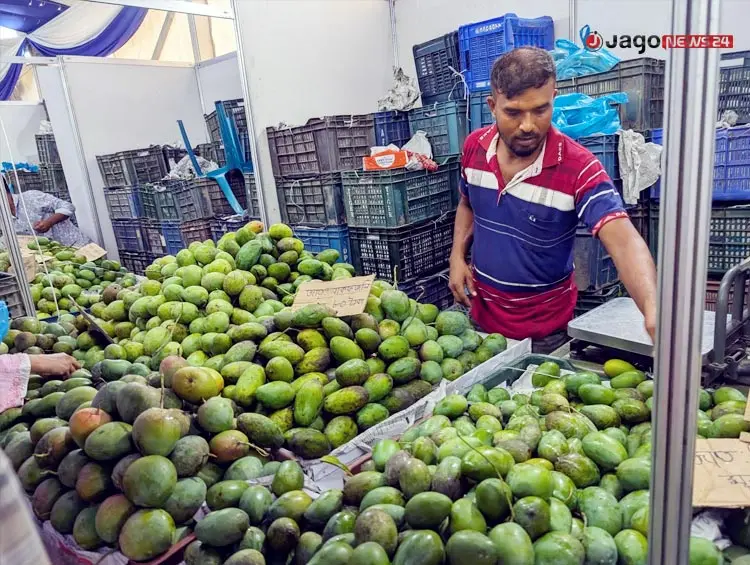 রাজধানীতে ৩ দিনব্যাপী ফল মেলা