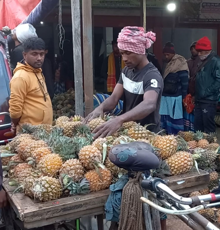 দাম চড়া, ফল কিনতে হিমশিম