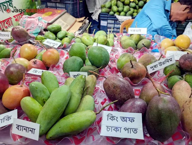 রাজধানীতে ৩ দিনব্যাপী ফল মেলা
