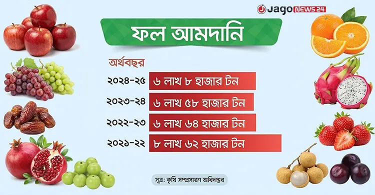 ফলের উৎপাদন বাড়লেও বাড়ছে না রপ্তানি, বড় বাধা বিমানভাড়া