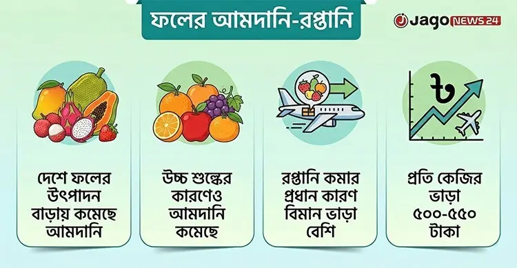 ফলের উৎপাদন বেড়ে কমেছে আমদানি, স্থবির রপ্তানি