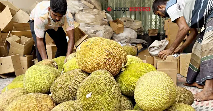 ফল রপ্তানিতে বড় বাধা বিমান ভাড়া, প্রয়োজন অবকাঠামো উন্নয়ন