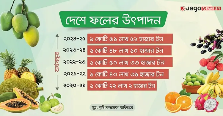 ফলের উৎপাদন বাড়লেও বাড়ছে না রপ্তানি, বড় বাধা বিমানভাড়া