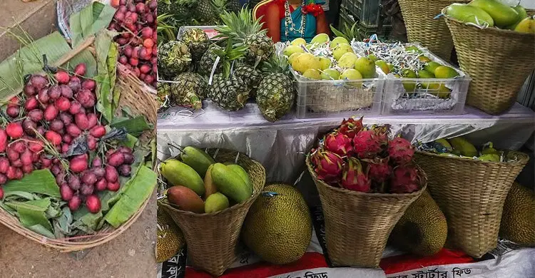 দুর্লভ বুনো রক্তফল’র সমাহার নিয়ে শনিবার রাজধানীতে বসছে পাহাড়ি ফল মেলা