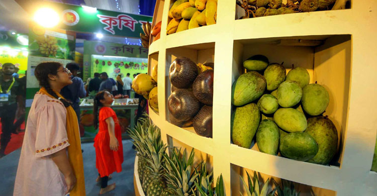 জাতীয় ফল মেলার উদ্বোধন, সবাইকে দেশি ফল খাওয়ার আহ্বান উপদেষ্টার