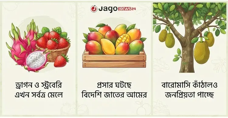 জনপ্রিয় হচ্ছে দেশে উৎপাদিত বিদেশি ফল