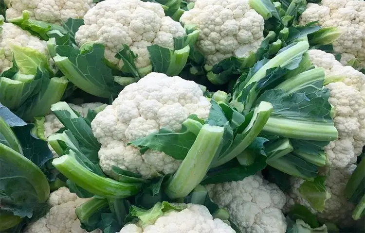 শীতের যেসব সবজি বাড়ায় রোগ প্রতিরোধ ক্ষমতা