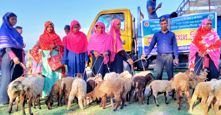 ভেড়া-ছাগল পেল চরাঞ্চলের ১০০ পরিবার