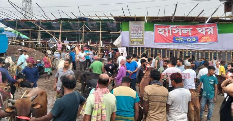 জমজমাট গাবতলীর কোরবানির পশুর হাট