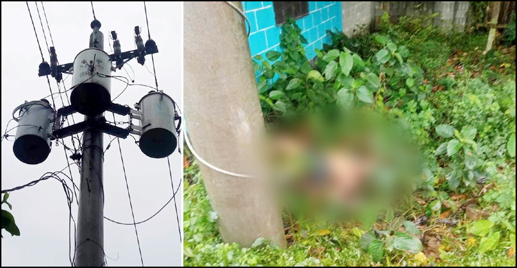 ট্রান্সফরমার চুরি করতে গিয়ে বিদ্যুৎস্পৃষ্টে যুবকের মৃত্যু