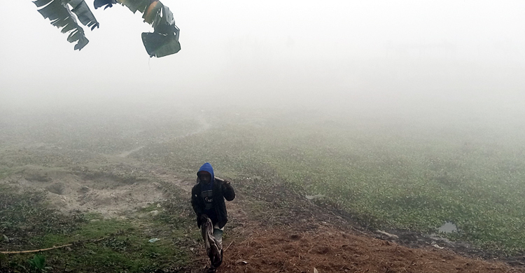 গাইবান্ধায় তাপমাত্রা ৯.৩, শীতে জবুথবু মানুষ