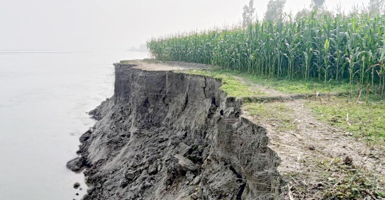 গাইবান্ধায় অসময়ে নদীভাঙনে দিশাহারা চরবাসী