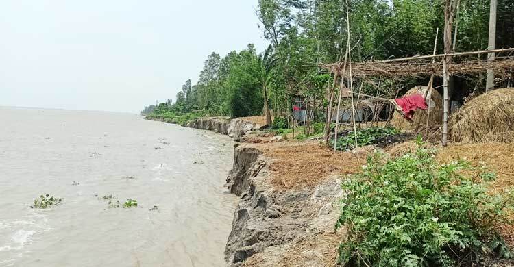 পানি বাড়তেই ব্রহ্মপুত্রে ভাঙন শুরু, বিলীন হচ্ছে ঘর-বাড়ি