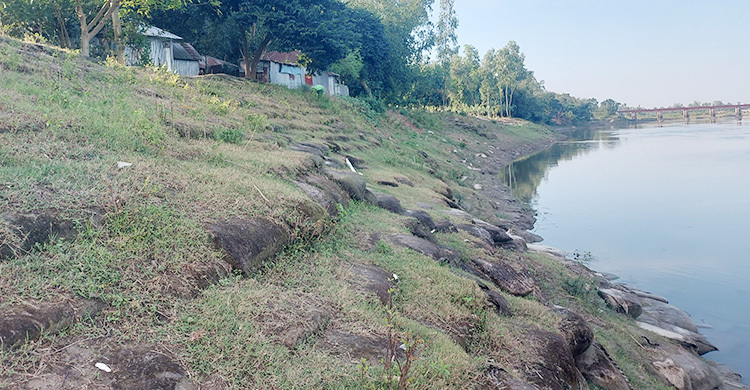 ভাঙছে বাঙালি নদী, আতঙ্কে গ্রামবাসী