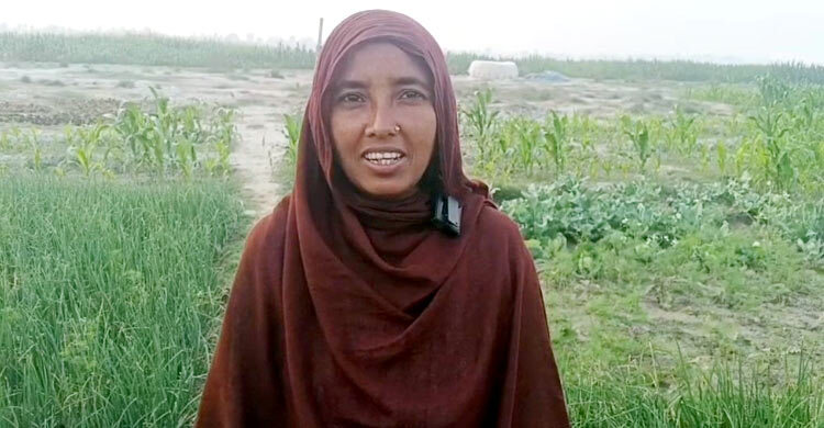 নির্বাচনি জোয়ারে গণভোট প্রচারে ভাটা