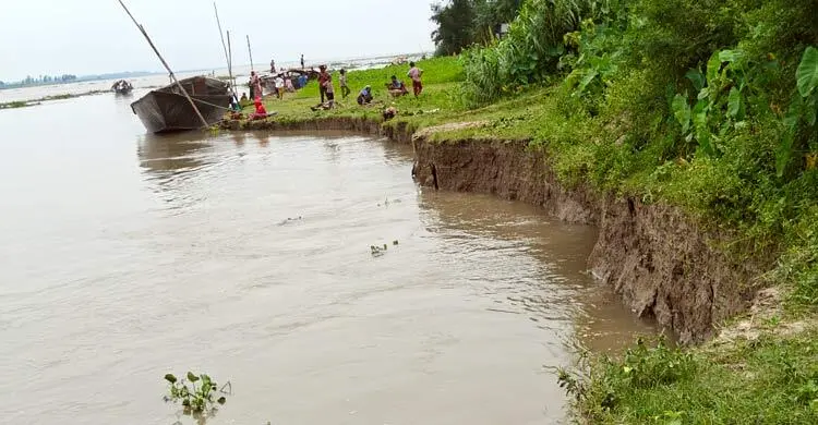 গাইবান্ধায় পানি বাড়তেই তীব্র হচ্ছে নদীভাঙন