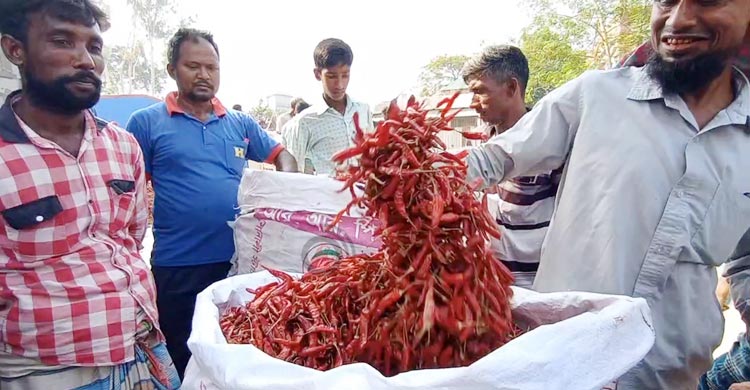 উত্তরাঞ্চলের সবচেয়ে বড় হাটে বেচাকেনা হয় কোটি টাকার লাল মরিচ