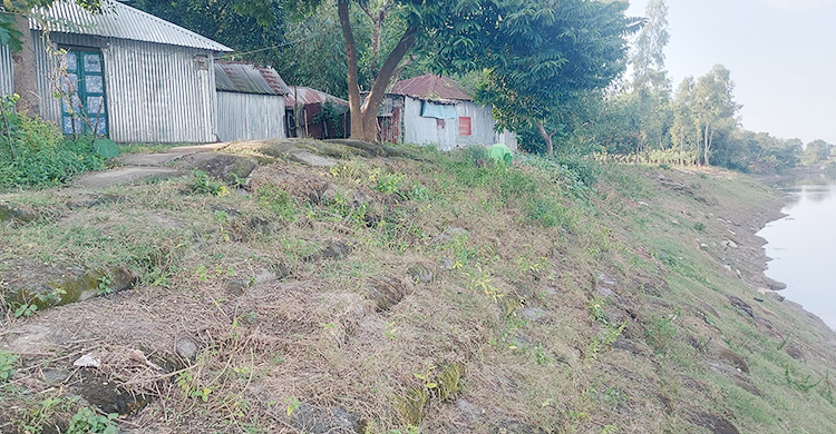 ভাঙছে বাঙালি নদী, আতঙ্কে গ্রামবাসী