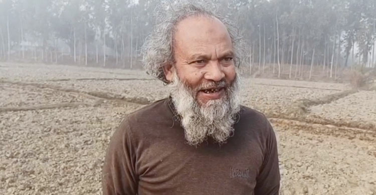 নির্বাচনি জোয়ারে গণভোট প্রচারে ভাটা