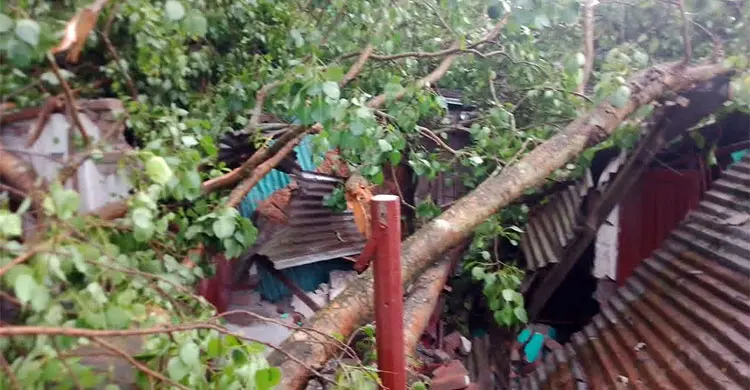 গাইবান্ধায় ঝড়ে লন্ডভন্ড বাড়িঘর, বিদ্যুৎ বিচ্ছিন্ন লক্ষাধিক পরিবার