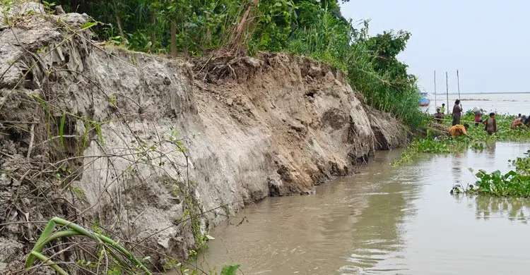 গাইবান্ধায় পানি বাড়তেই তীব্র হচ্ছে নদীভাঙন