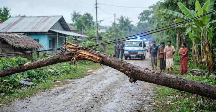 গাছ কাটার সময় বৈদ্যুুতিক তারের ওপর পড়ে প্রাণ গেল দুজনের