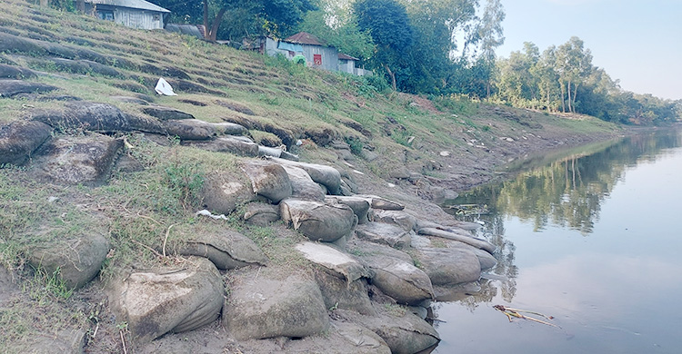 ভাঙছে বাঙালি নদী, আতঙ্কে গ্রামবাসী
