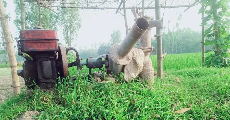 তেল সংকটে সেচ না পেয়ে হতাশায় কৃষক