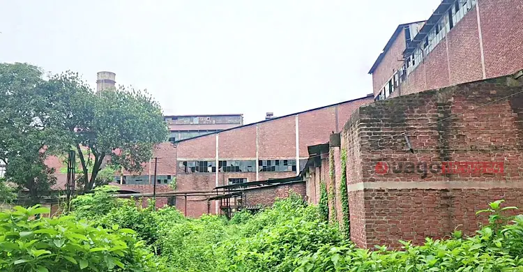 বন্ধ চিনিকলে আটকা হাজারো শ্রমিক-চাষির ভাগ্য