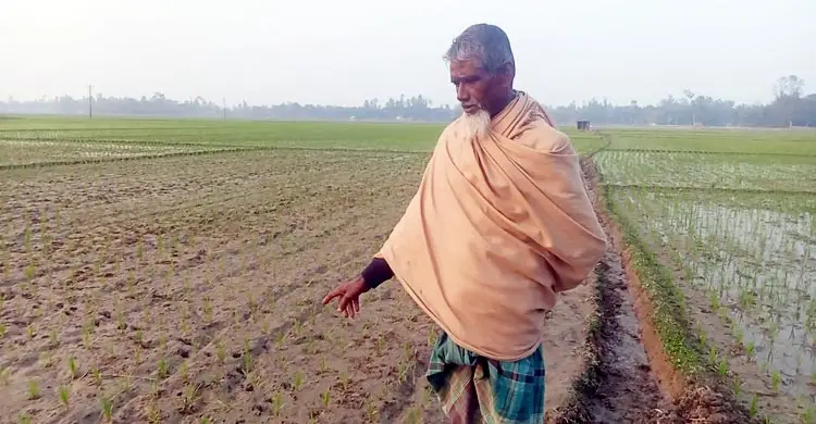 চার সেচপাম্পে বিদ্যুৎ বিচ্ছিন্ন, শত বিঘা জমির বোরো আবাদে অনিশ্চয়তা