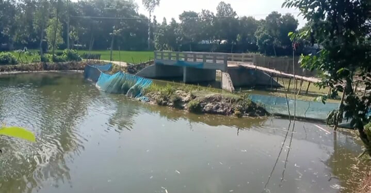 বাঁশের সাঁকো বেয়ে উঠতে হয় ব্রিজে, দুর্ভোগে ২০ হাজার মানুষ