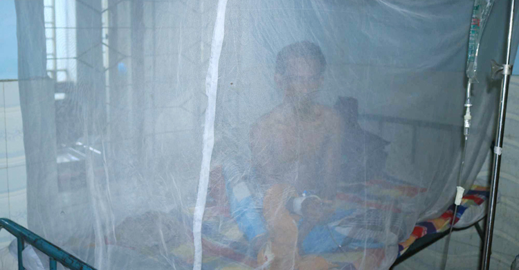 গাইবান্ধায় আরও ২২ জনের ডেঙ্গু শনাক্ত